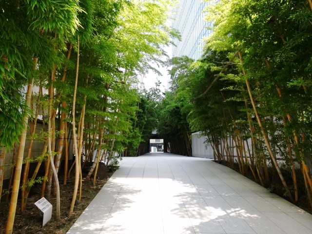 南青山ブライトスクエア　隣地の竹やぶも美しい