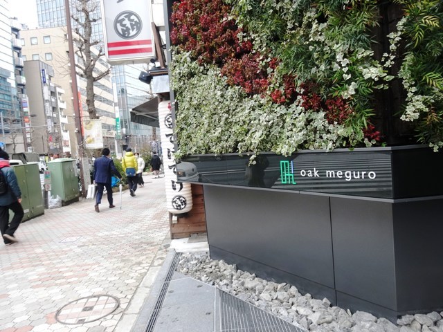 Oak meguro入口の植栽