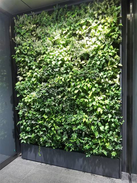 オフィス入口の壁面緑化